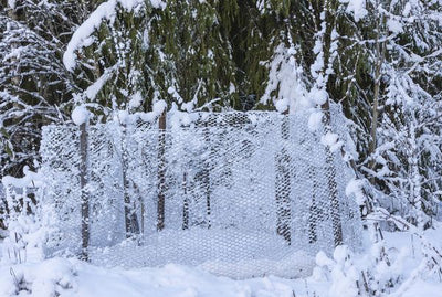 Maan lämpötilan mittausta, mitä roudattomuus tarkoittaa kasveille ja maalle?, suojaverkot paikoilleen ym. 13.12.2024