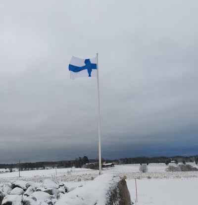 Hyvää itsenäisyyspäivää, Suomen lipun historiaa, kasvilampun käytön kulutuksesta, joulukuusen kaatoaika on nyt ym. 6.12.2024