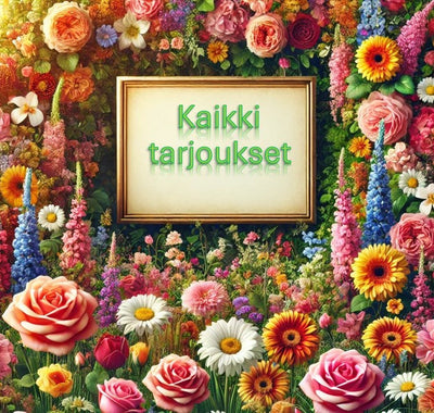 Kaikki tarjoukset