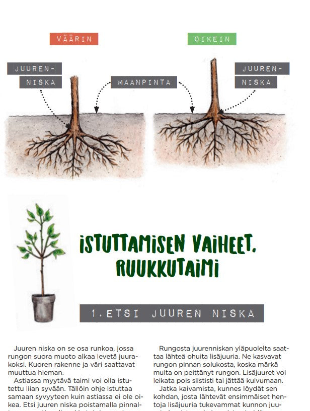 Lehti- ja Havupuut, käytännön istutusopas